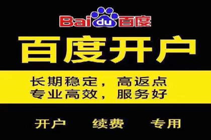 百度竞价推广公司经典案例研究：广告效果最大化策略